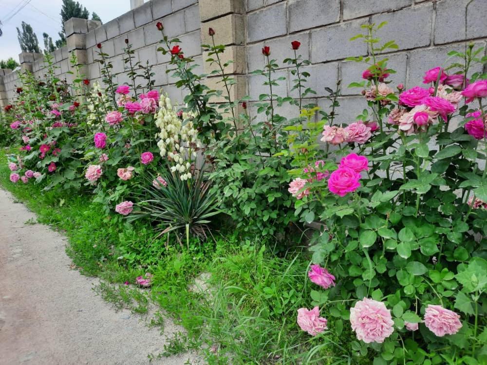 Homestay Jaisel 비슈케크 외부 사진